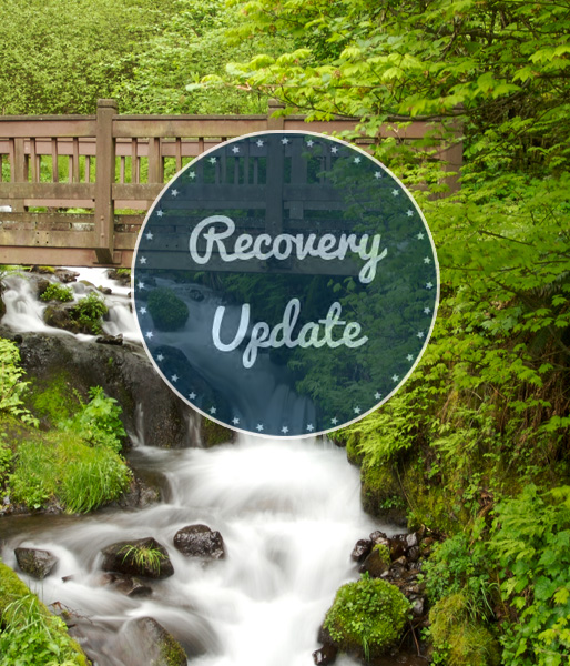 The cover of Recovery Update newsletter: A bridge over a river is in a green forest.